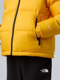 Куртки и дубленки The North Face 1996 Retro Nuptse модель NF0A8A4CGO71 Фото