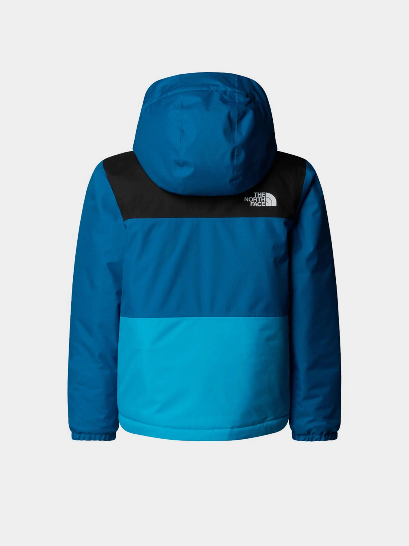 Куртки и дубленки The North Face модель NF0A88VKD201 Фото