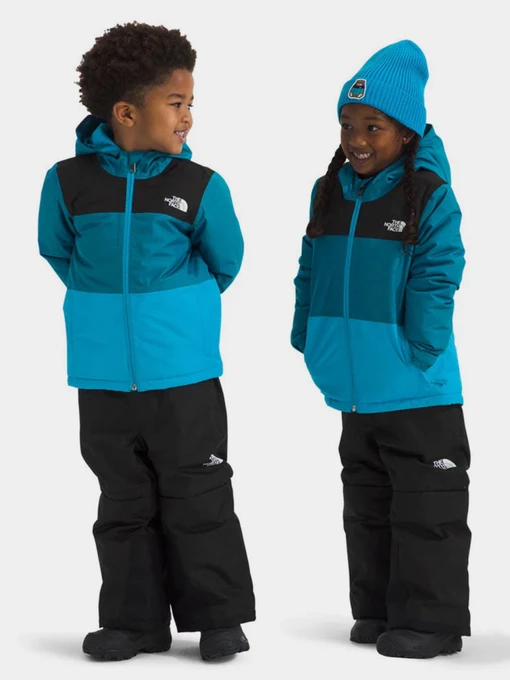 Куртки та дублянки The North Face модель NF0A88VKD201 Фото