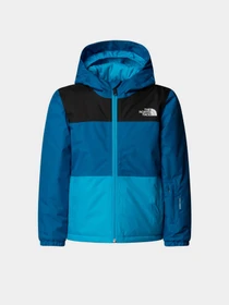 Куртки и дубленки The North Face модель NF0A88VKD201 Фото
