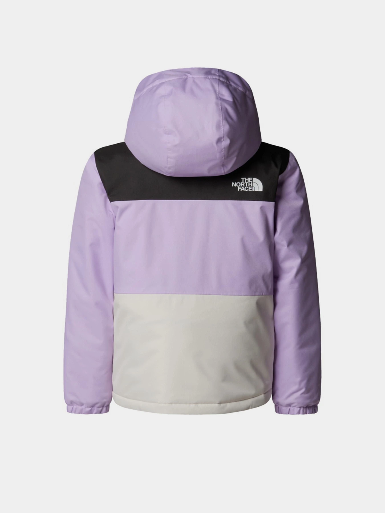 Куртки и дубленки The North Face модель NF0A88VKE151 Фото