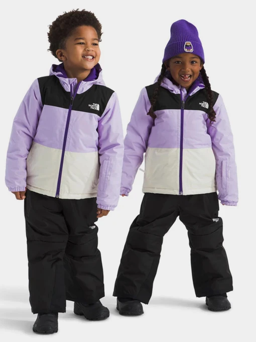 Куртки та дублянки The North Face модель NF0A88VKE151 Фото