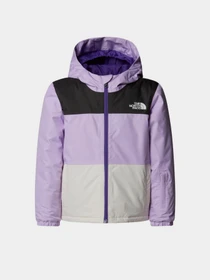 Куртки и дубленки The North Face модель NF0A88VKE151 Фото