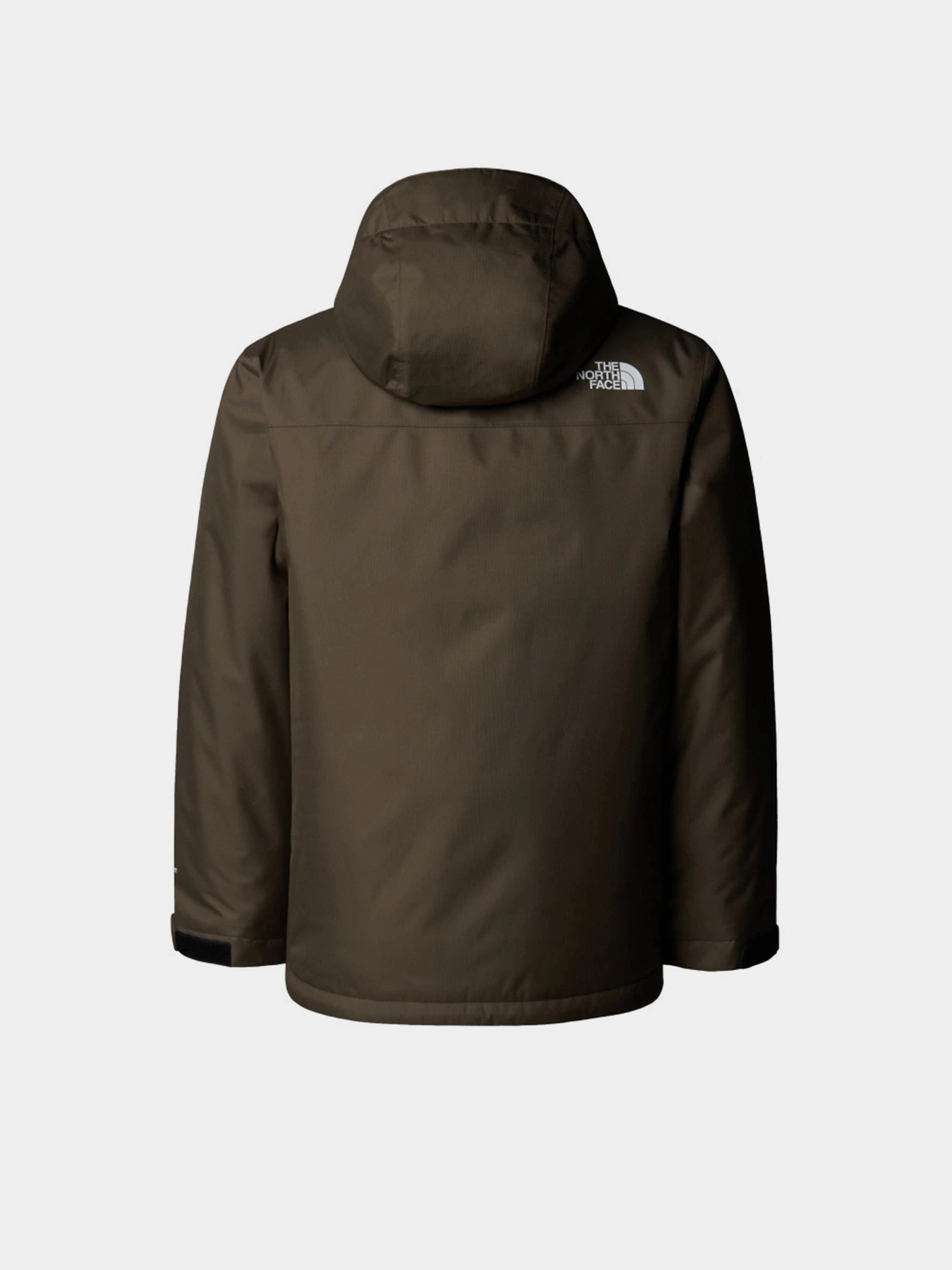 Куртки и дубленки The North Face модель NF0A8EJQ21L1 Куртки и дубленки The North Face модель NF0A8EJQ21L1 Фото