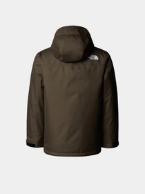Куртки и дубленки The North Face модель NF0A8EJQ21L1 Фото
