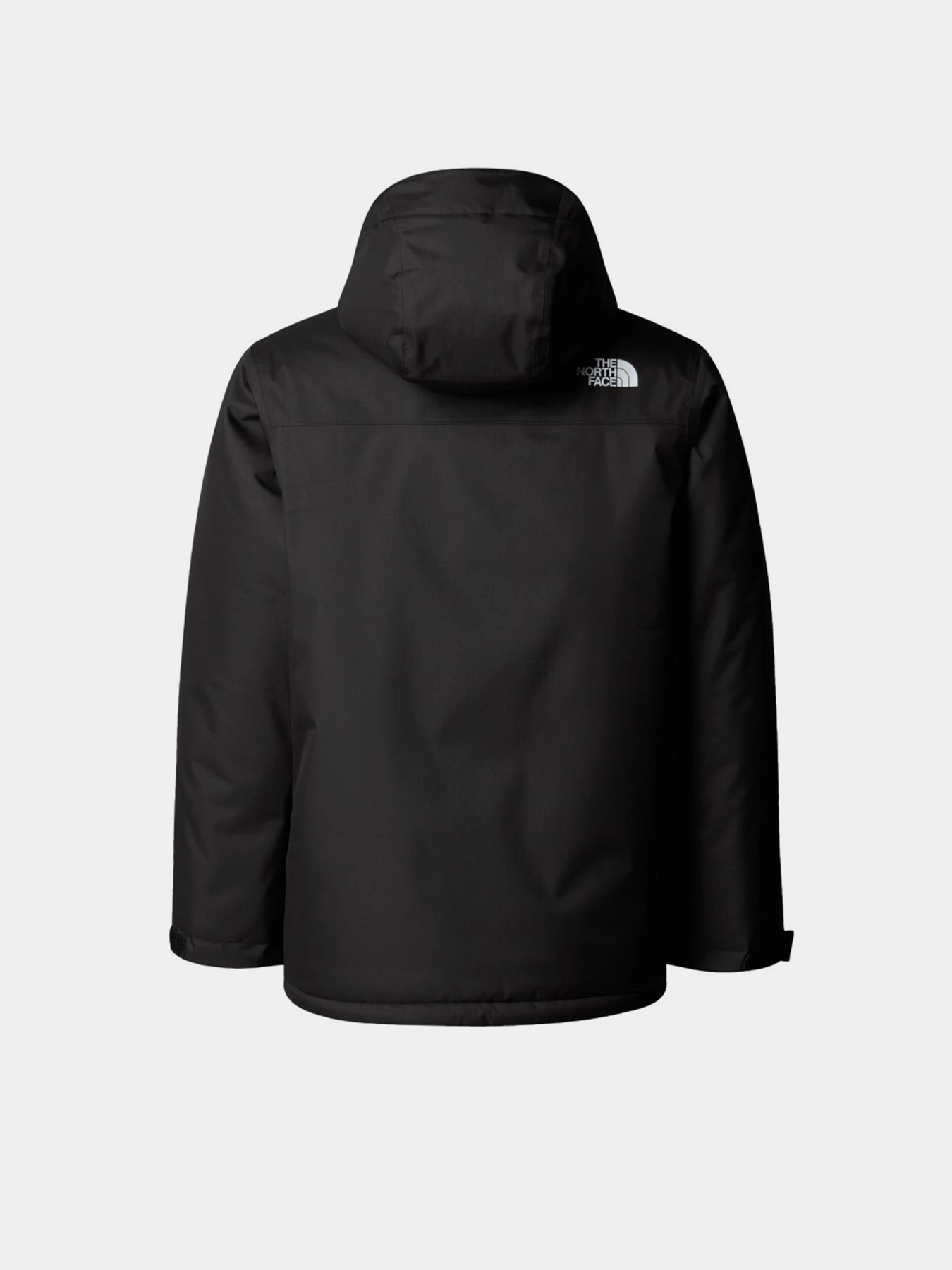 Куртки и дубленки The North Face модель NF0A8EJQJK31 Куртки и дубленки The North Face модель NF0A8EJQJK31 Фото