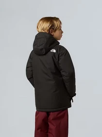 Куртки и дубленки The North Face модель NF0A8EJQJK31 Фото
