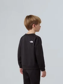 Костюми The North Face Performance модель NF0A8CV0JK31 Фото