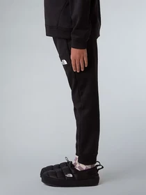 Костюми The North Face Performance модель NF0A8CV0JK31 Фото
