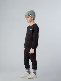 Костюмы The North Face Performance модель NF0A8CV0JK31 Фото