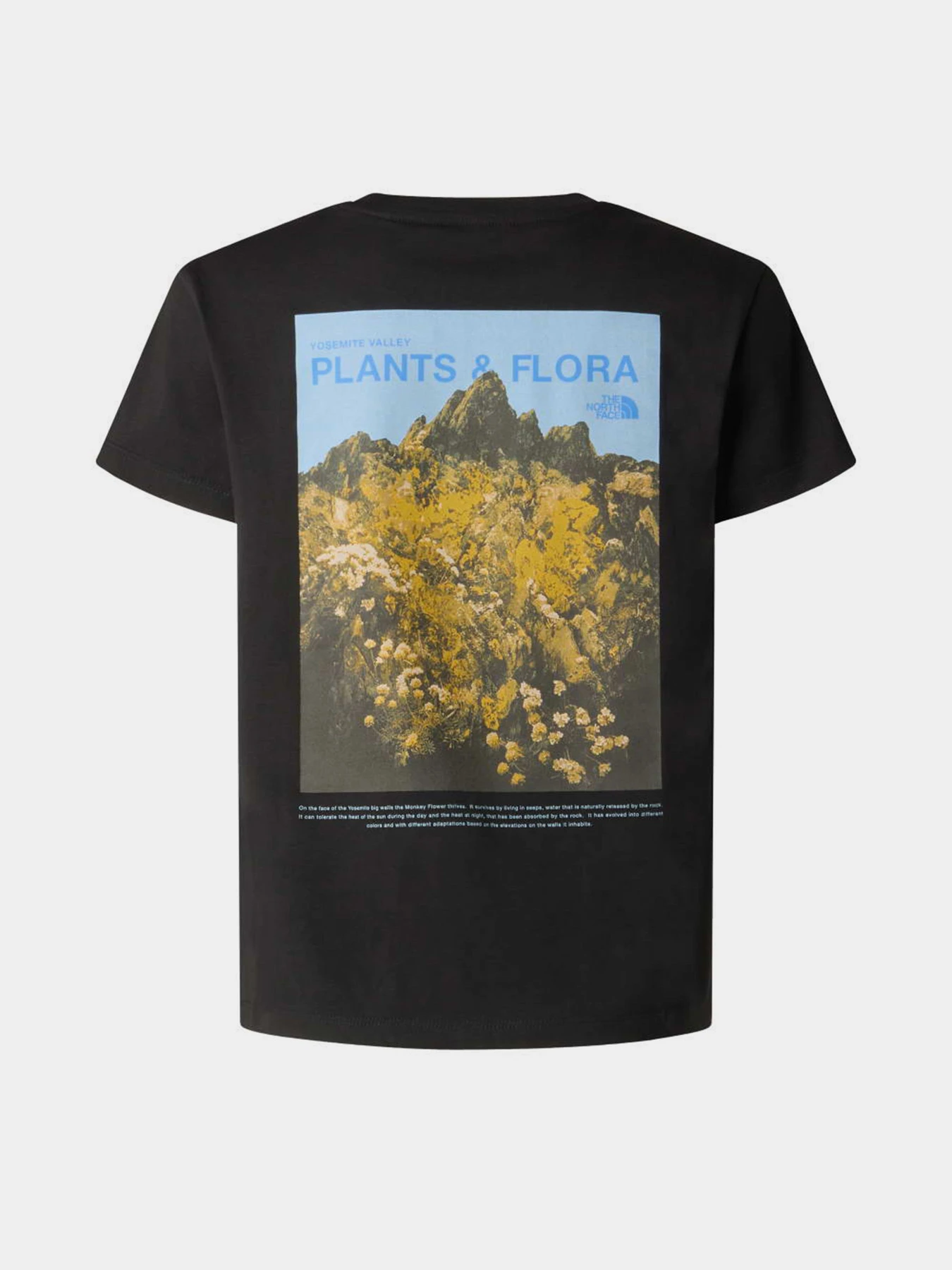 Футболки і поло The North Face G FLORA RELAXED SHORT SLEEVE T модель NF0A8G1MJK31 Футболки і поло The North Face G FLORA RELAXED SHORT SLEEVE T модель NF0A8G1MJK31 Фото