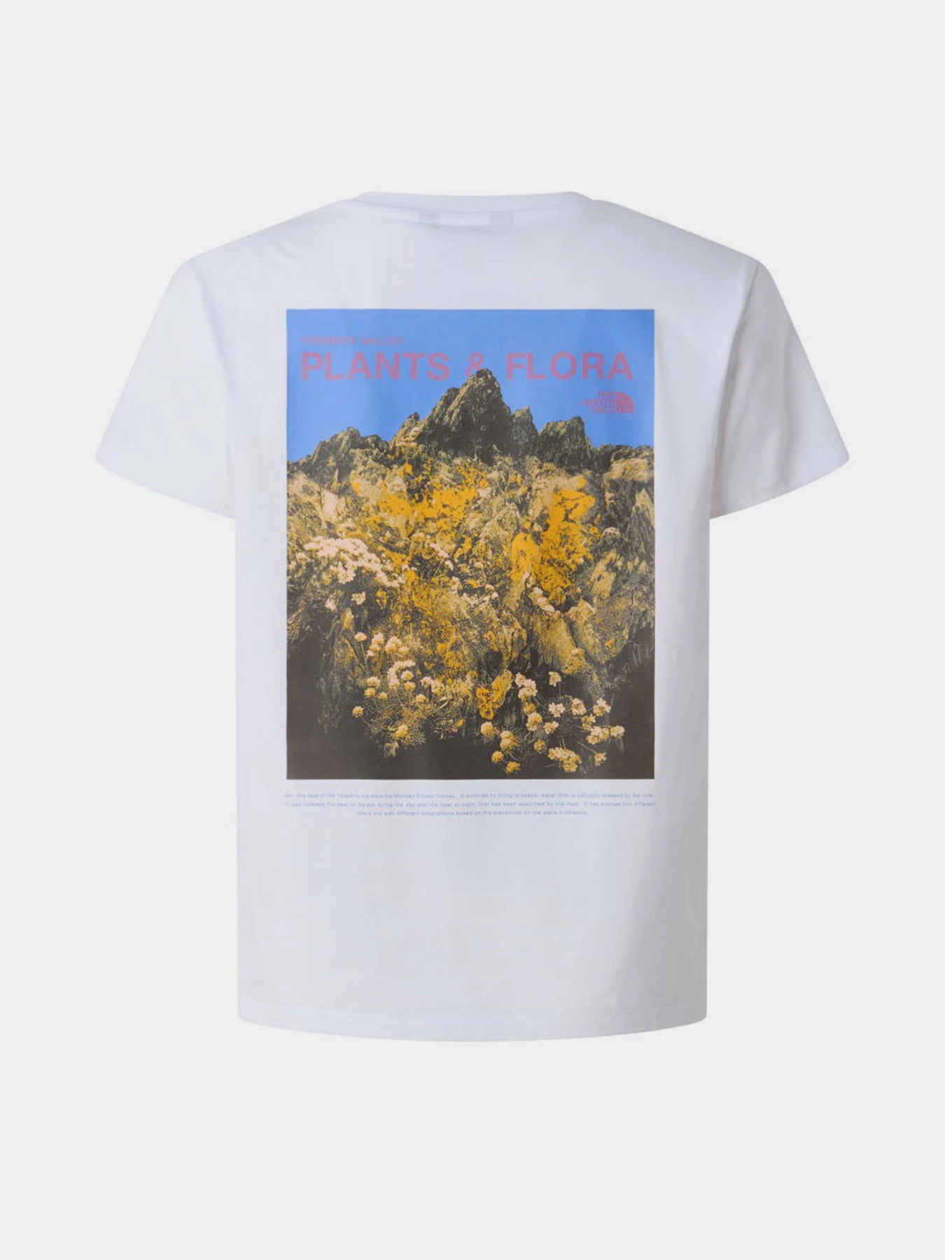 Футболки і поло The North Face G FLORA RELAXED SHORT SLEEVE T модель NF0A8G1MFN41 Футболки і поло The North Face G FLORA RELAXED SHORT SLEEVE T модель NF0A8G1MFN41 Фото