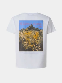 Футболки і поло The North Face G FLORA RELAXED SHORT SLEEVE T модель NF0A8G1MFN41 Фото