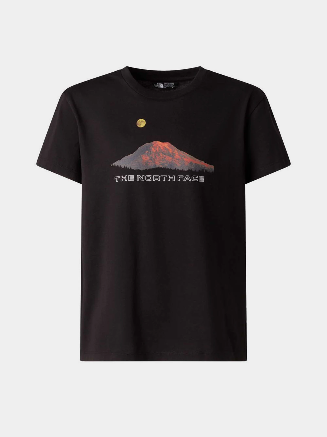 Футболки і поло The North Face B MOUNTAIN NIGHT RELAXED SHORT модель NF0A8G1UJK31 Фото
