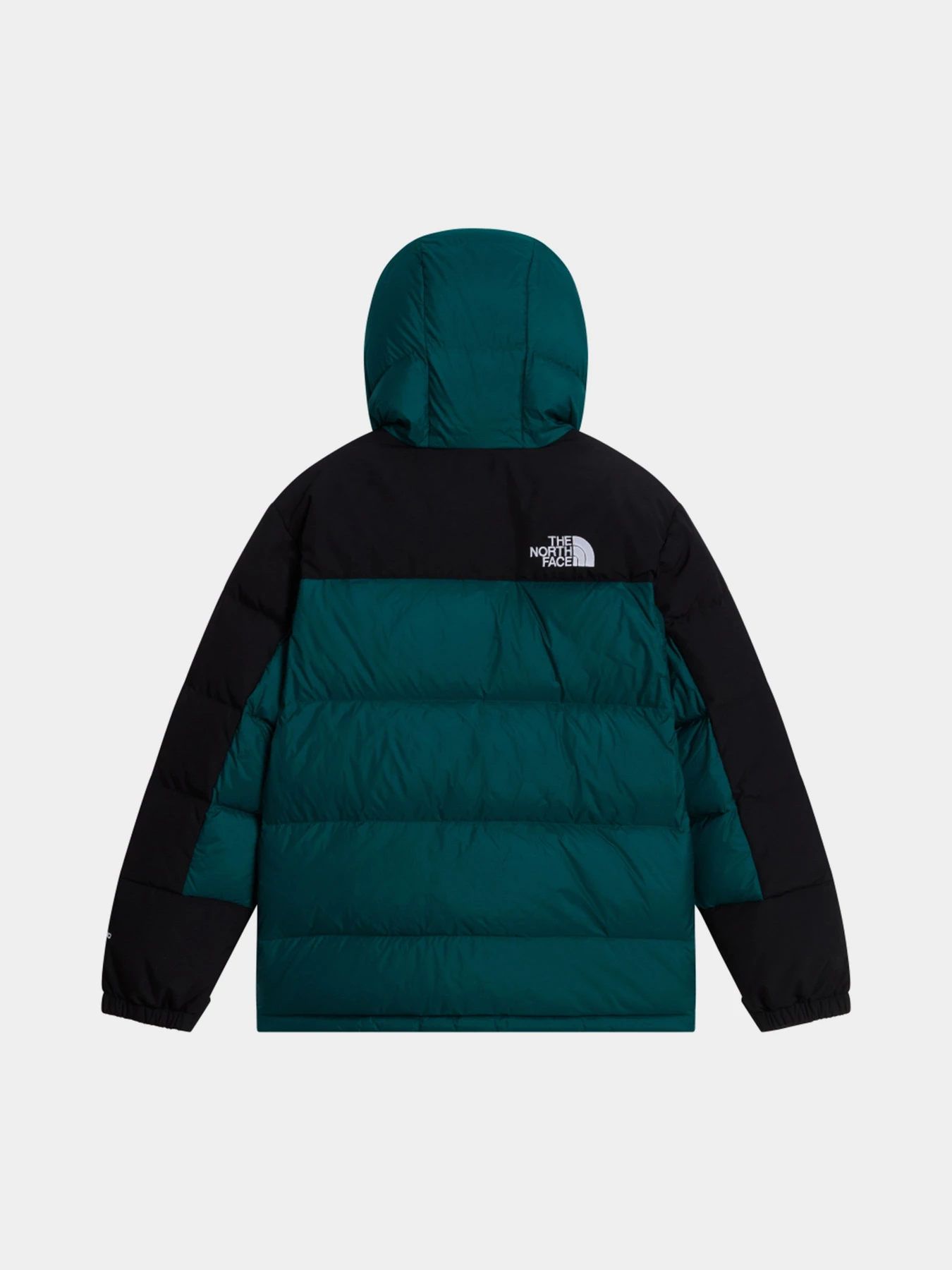 Куртки та дублянки The North Face TEEN HMLYN DOWN SHORT PARKA модель NF0A88UYN4J1 Куртки та дублянки The North Face TEEN HMLYN DOWN SHORT PARKA модель NF0A88UYN4J1 Фото