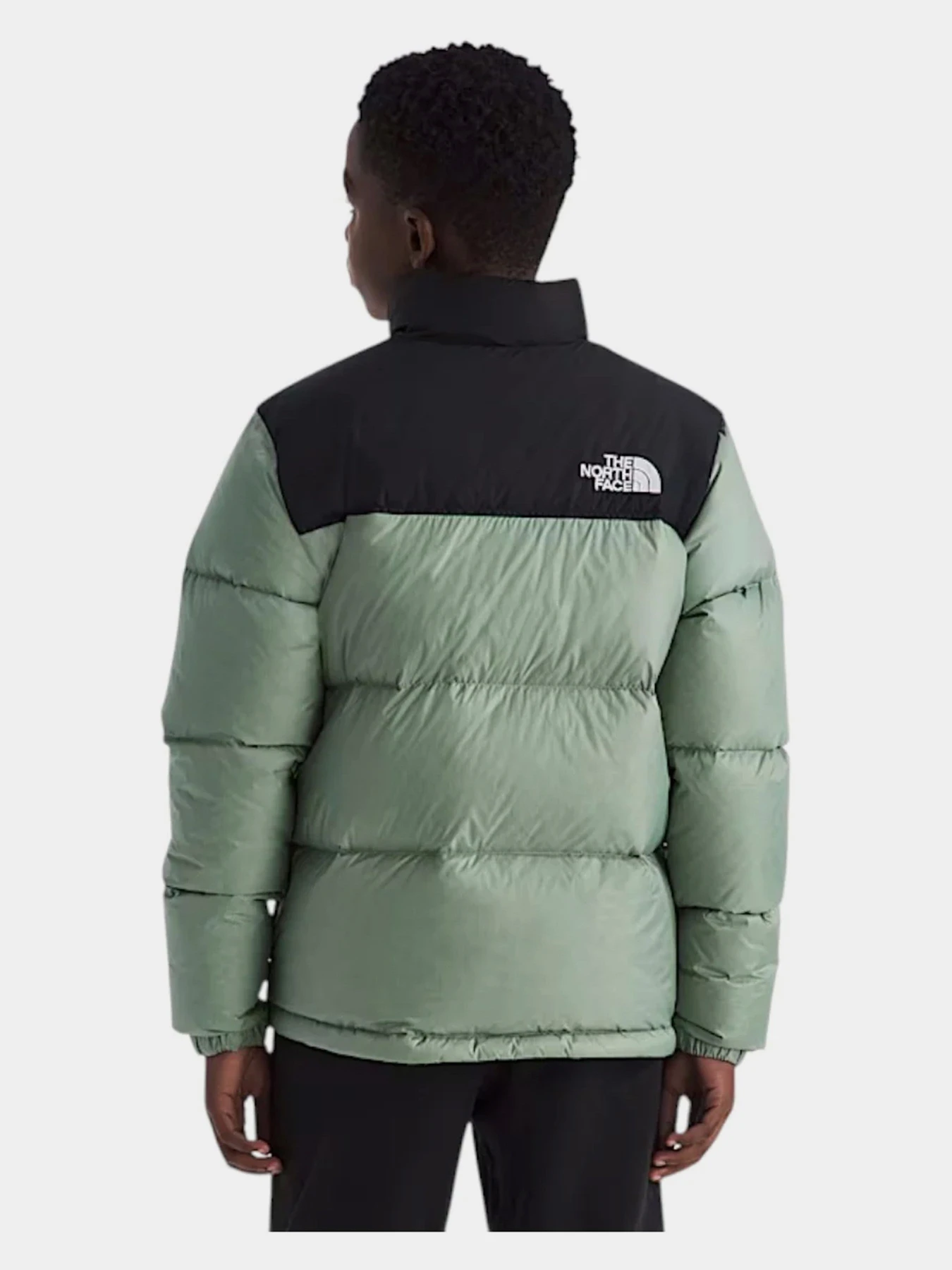 Куртки и дубленки The North Face TEEN 1996 RETRO NUPTSE JACKET модель NF0A8A4CBQ11 Фото