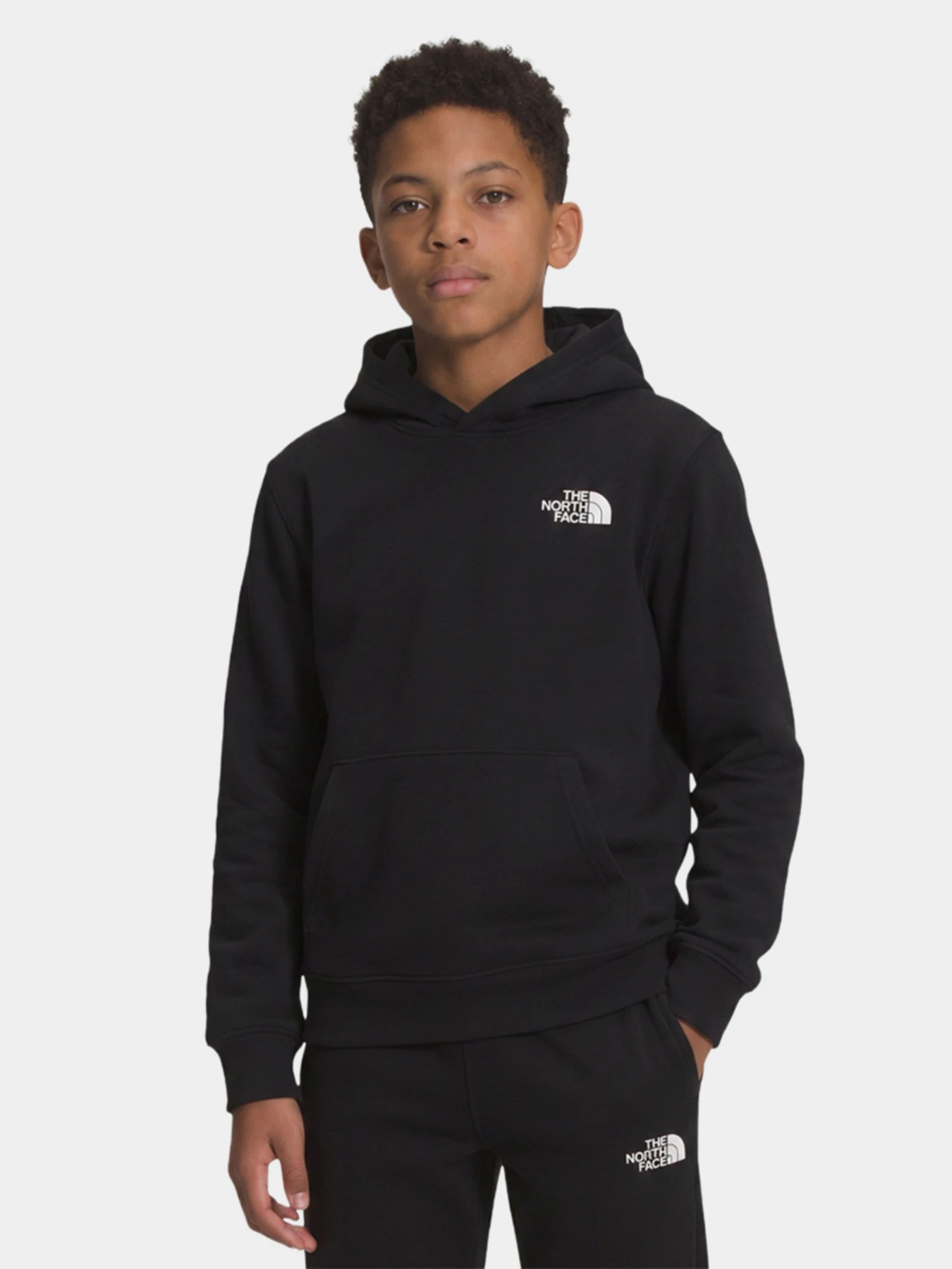 Худи и свитшоты The North Face TEEN EVOLUTION BOX NSE PULLOVE модель NF0A8CV5JK31 Худи и свитшоты The North Face TEEN EVOLUTION BOX NSE PULLOVE модель NF0A8CV5JK31 Фото