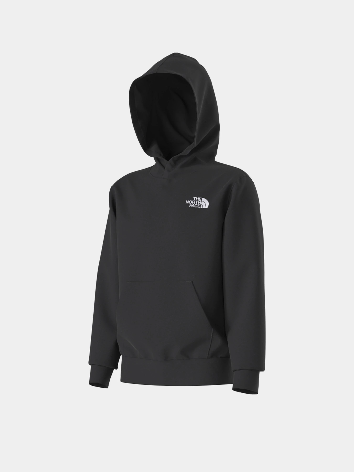 Худи и свитшоты The North Face TEEN EVOLUTION BOX NSE PULLOVE модель NF0A8CV5JK31 Худи и свитшоты The North Face TEEN EVOLUTION BOX NSE PULLOVE модель NF0A8CV5JK31 Фото