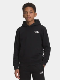 Худи и свитшоты The North Face TEEN EVOLUTION BOX NSE PULLOVE модель NF0A8CV5JK31 Фото