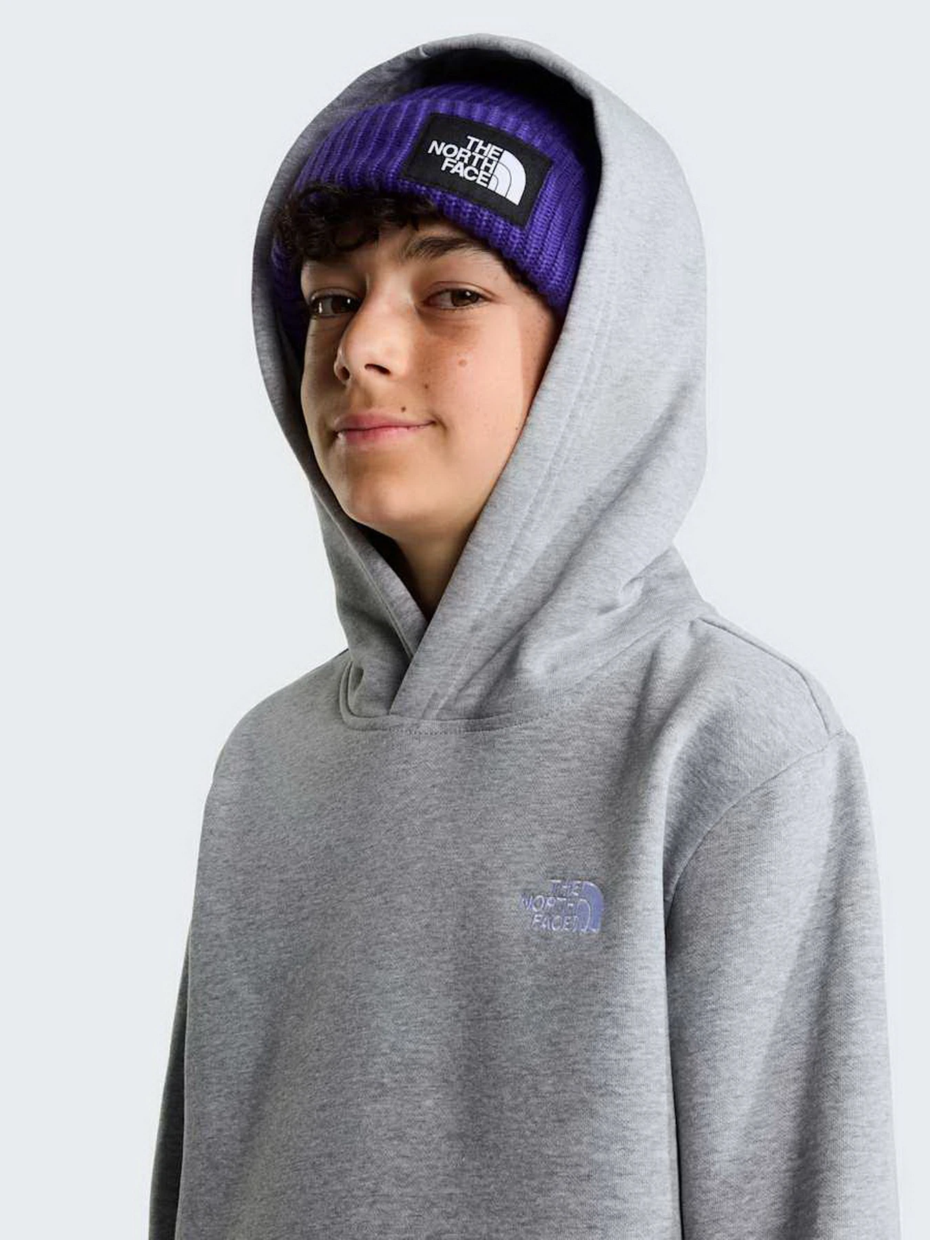 Худі та світшоти The North Face TEEN EVOLUTION SIMPLE DOME PUL модель NF0A8CV6CQO1 Худі та світшоти The North Face TEEN EVOLUTION SIMPLE DOME PUL модель NF0A8CV6CQO1 Фото