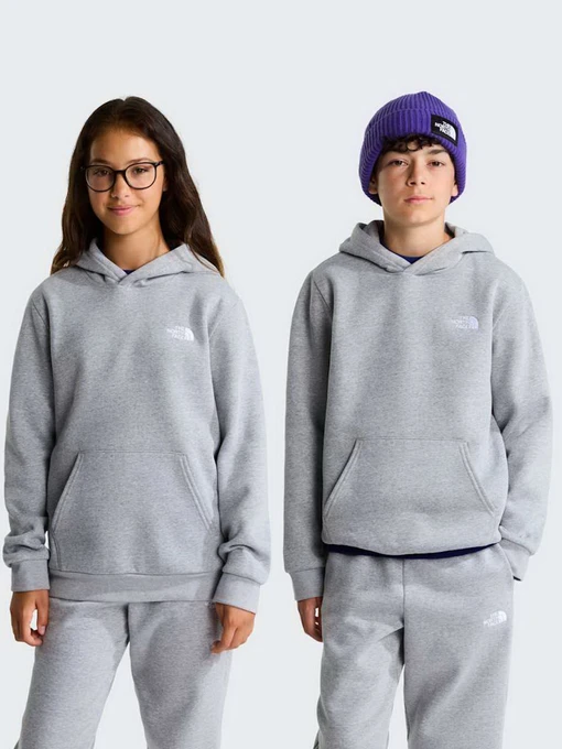 Худі та світшоти The North Face TEEN EVOLUTION SIMPLE DOME PUL модель NF0A8CV6CQO1 Фото