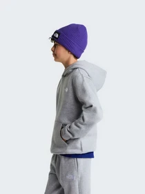 Худі та світшоти The North Face TEEN EVOLUTION SIMPLE DOME PUL модель NF0A8CV6CQO1 Фото