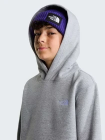 Худі та світшоти The North Face TEEN EVOLUTION SIMPLE DOME PUL модель NF0A8CV6CQO1 Фото
