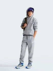Худі та світшоти The North Face TEEN EVOLUTION SIMPLE DOME PUL модель NF0A8CV6CQO1 Фото