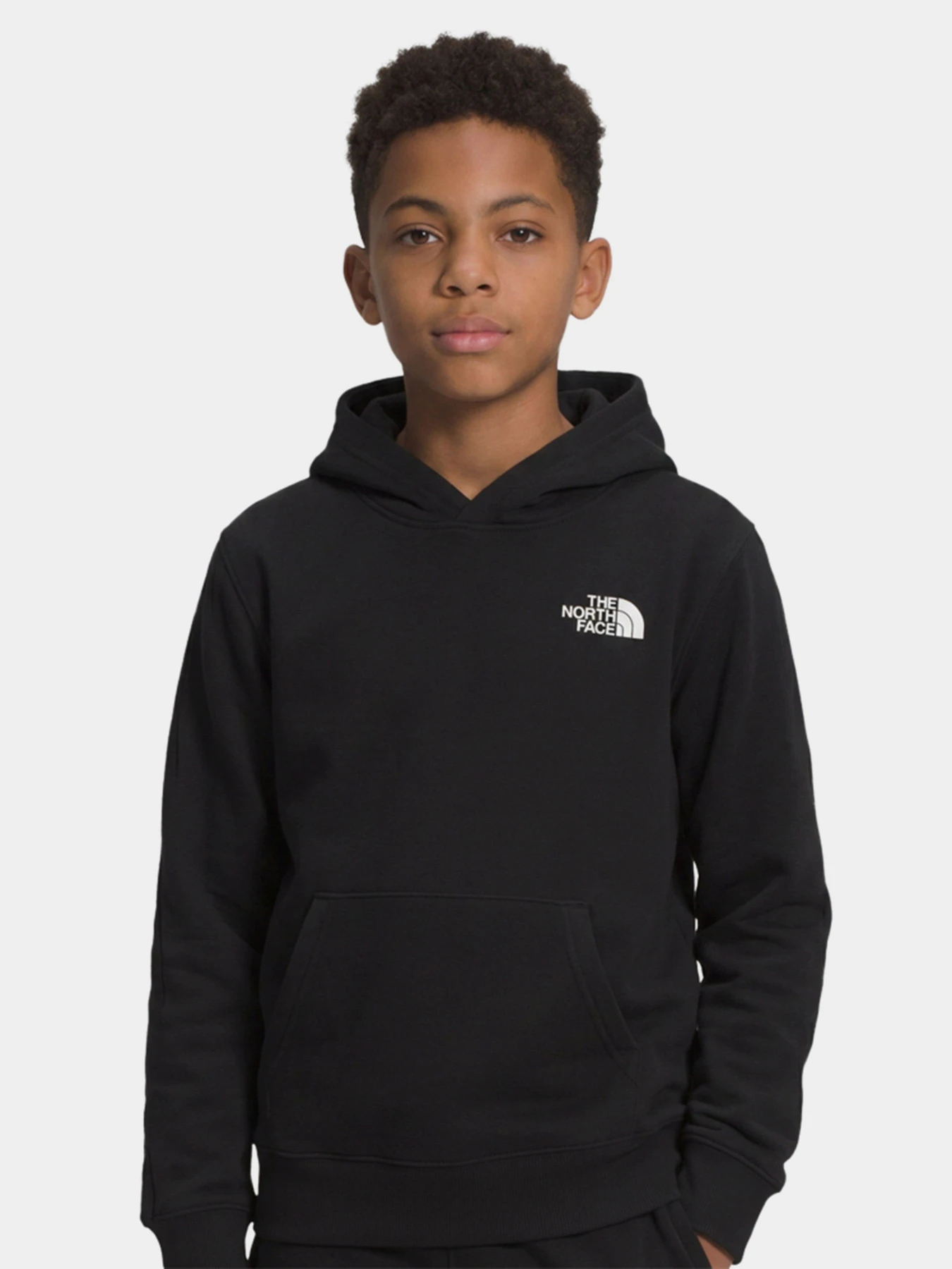 Худі та світшоти The North Face TEEN EVOLUTION SIMPLE DOME PUL модель NF0A8CV6JK31 Худі та світшоти The North Face TEEN EVOLUTION SIMPLE DOME PUL модель NF0A8CV6JK31 Фото
