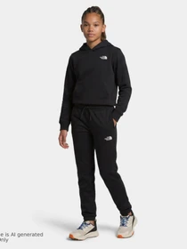 Худі та світшоти The North Face TEEN EVOLUTION SIMPLE DOME PUL модель NF0A8CV6JK31 Фото