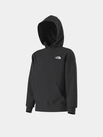 Худі та світшоти The North Face TEEN EVOLUTION SIMPLE DOME PUL модель NF0A8CV6JK31 Фото