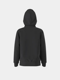 Худі та світшоти The North Face TEEN EVOLUTION SIMPLE DOME PUL модель NF0A8CV6JK31 Фото