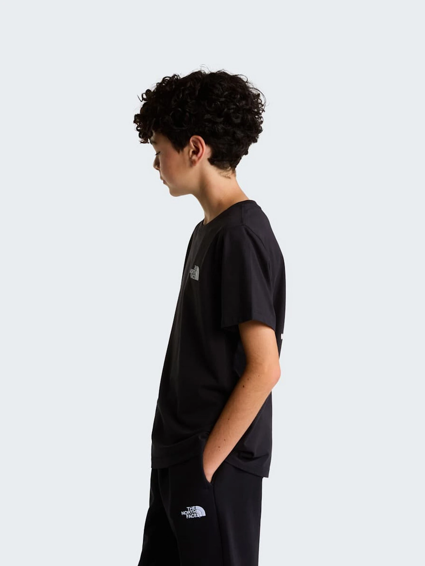 Футболки и поло The North Face TEEN EVOLUTION BOX NSE SS TEE модель NF0A8CVAJK31 Футболки и поло The North Face TEEN EVOLUTION BOX NSE SS TEE модель NF0A8CVAJK31 Фото