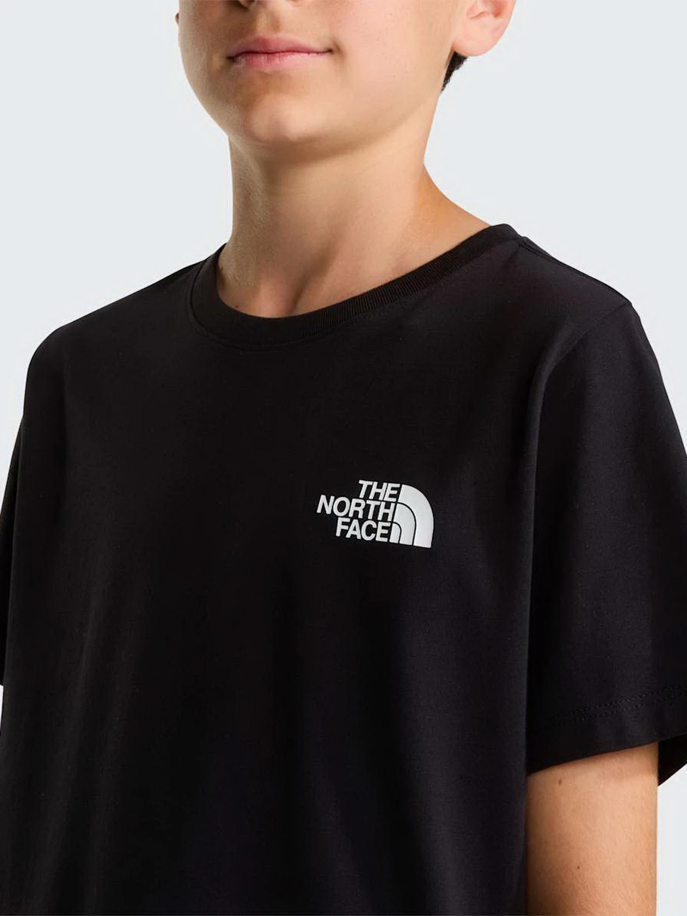 Футболки и поло The North Face TEEN EVOLUTION BOX NSE SS TEE модель NF0A8CVAJK31 Футболки и поло The North Face TEEN EVOLUTION BOX NSE SS TEE модель NF0A8CVAJK31 Фото