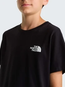 Футболки и поло The North Face TEEN EVOLUTION BOX NSE SS TEE модель NF0A8CVAJK31 Фото