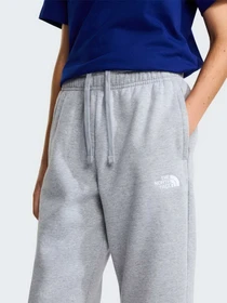 Брюки The North Face TEEN EVOLUTION SIMPLE DOME PAN модель NF0A8CVDCQO1 Фото