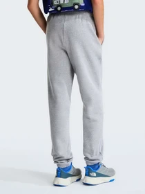 Брюки The North Face TEEN EVOLUTION SIMPLE DOME PAN модель NF0A8CVDCQO1 Фото