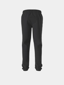Штани The North Face TEEN EVOLUTION SIMPLE DOME PAN модель NF0A8CVDJK31 Фото