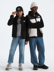 Худи и свитшоты The North Face TEEN GLACIER FZ HOODIE модель NF0A8CVFJK31 Фото