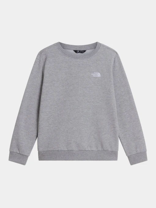 Худі та світшоти The North Face TEEN EVOLUTION SIMPLE DOME CRE модель NF0A8ESMCQO1 Фото
