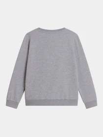 Худі та світшоти The North Face TEEN EVOLUTION SIMPLE DOME CRE модель NF0A8ESMCQO1 Фото