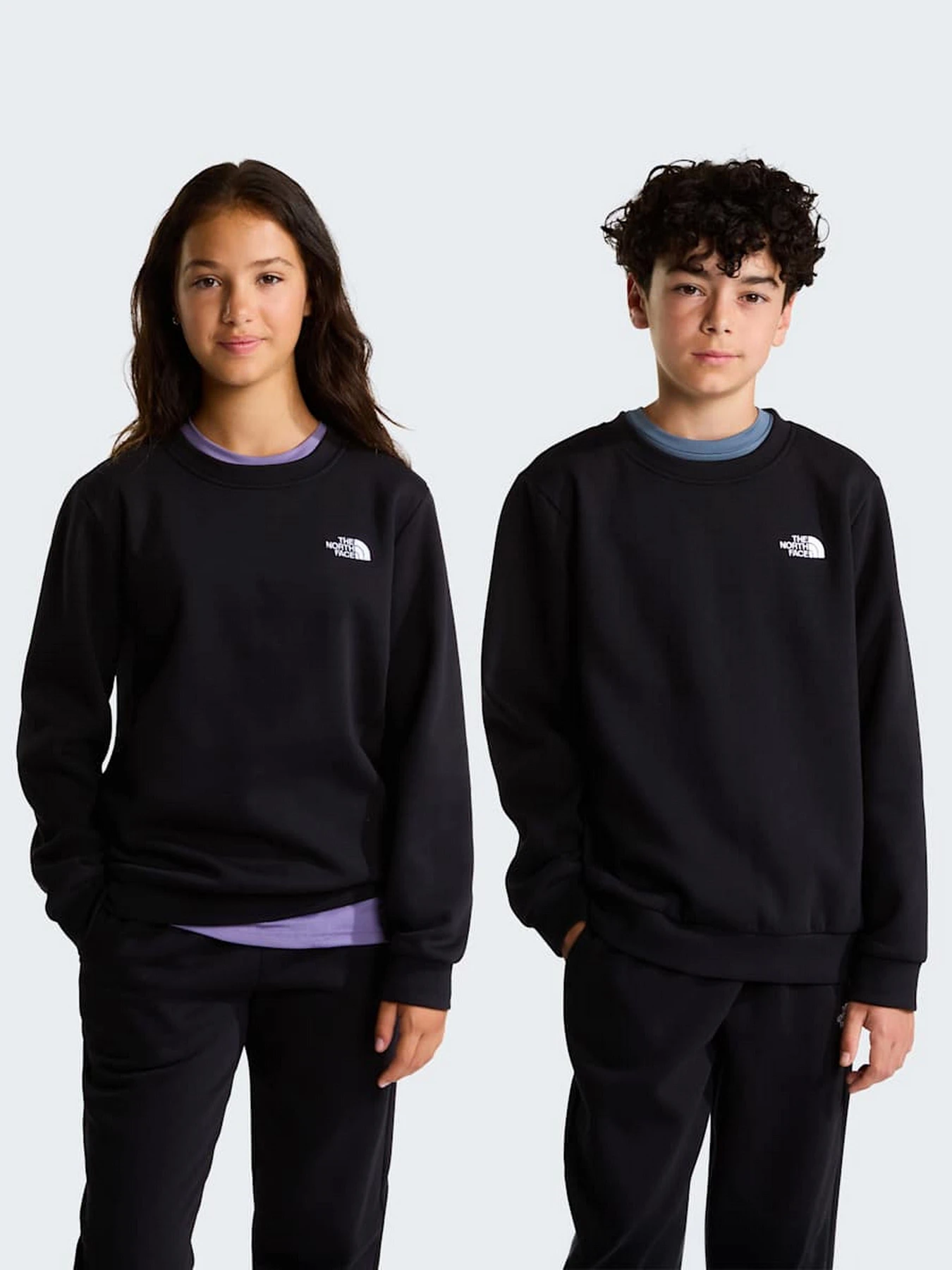 Худи и свитшоты The North Face TEEN EVOLUTION SIMPLE DOME CRE модель NF0A8ESMJK31 Фото
