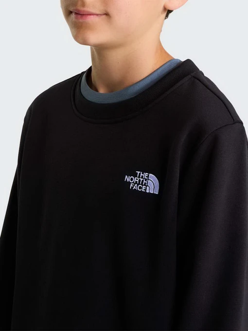 Дитячий Світшот The North Face TEEN EVOLUTION SIMPLE DOME CRE фото 3