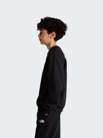 Худи и свитшоты The North Face TEEN EVOLUTION SIMPLE DOME CRE модель NF0A8ESMJK31 Фото