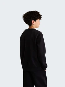 Худи и свитшоты The North Face TEEN EVOLUTION SIMPLE DOME CRE модель NF0A8ESMJK31 Фото