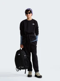 Худи и свитшоты The North Face TEEN EVOLUTION SIMPLE DOME CRE модель NF0A8ESMJK31 Фото