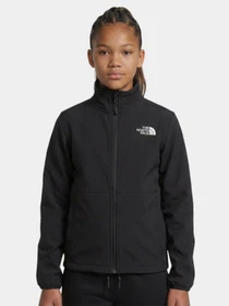 Худи и свитшоты The North Face TEEN GLACIER FZ ZIP IN JACKET модель NF0A8F8AJK31 Фото