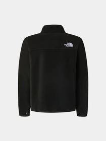 Худи и свитшоты The North Face TEEN GLACIER FZ ZIP IN JACKET модель NF0A8F8AJK31 Фото
