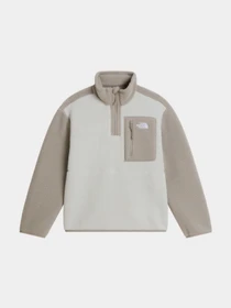 Худі та світшоти The North Face TEEN YUMIORI 1/4 ZIP JACKET модель NF0A8J61P481 Фото