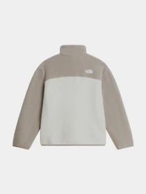 Худи и свитшоты The North Face TEEN YUMIORI 1/4 ZIP JACKET модель NF0A8J61P481 Фото